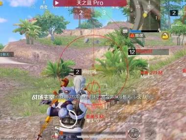 和平精英透视科技 - 实战型透视增强辅助